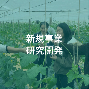 新規事業研究開発
