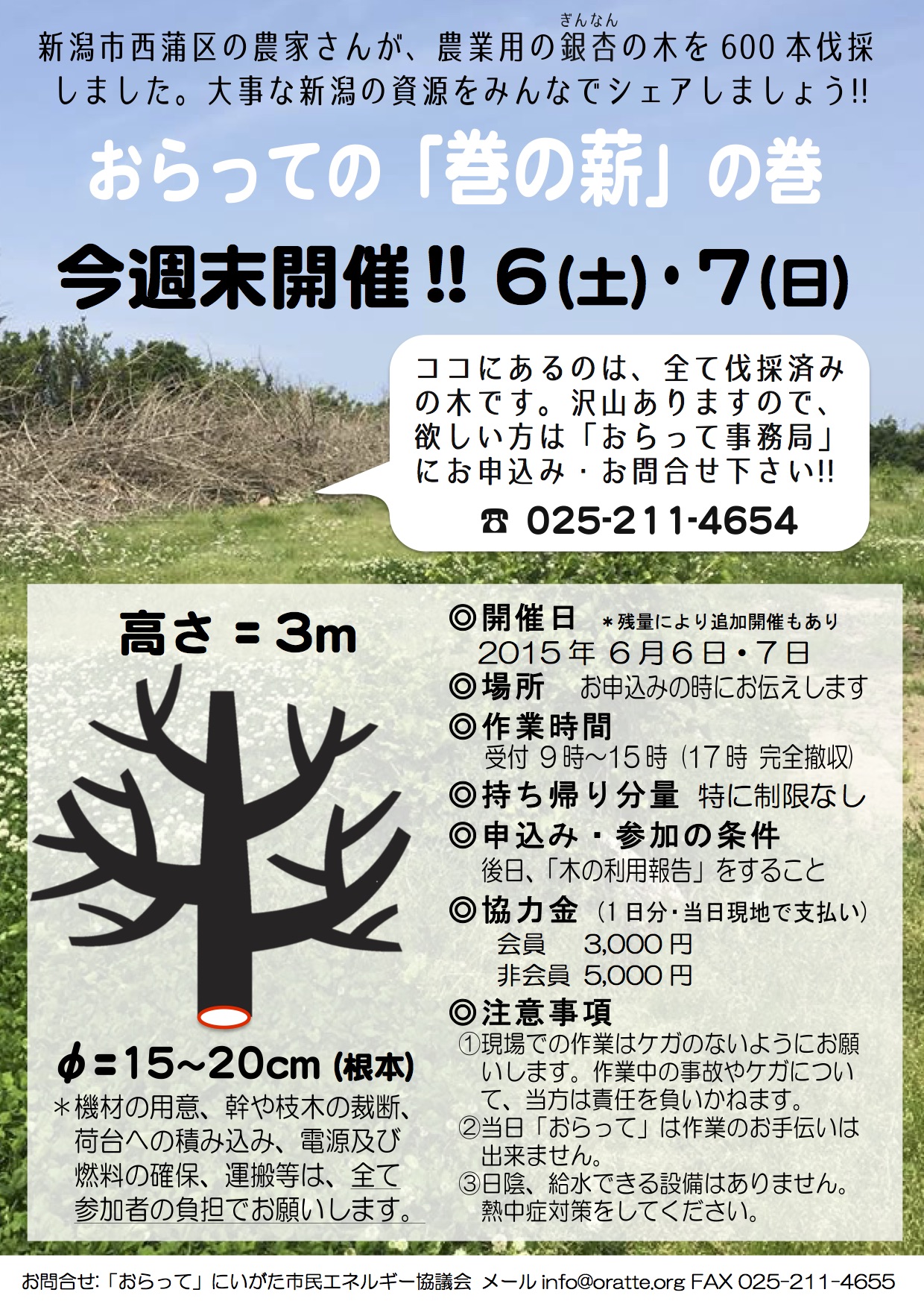 おらって「巻の薪」の巻～銀杏の木＆活用方法シェアイベント～ | 一般 